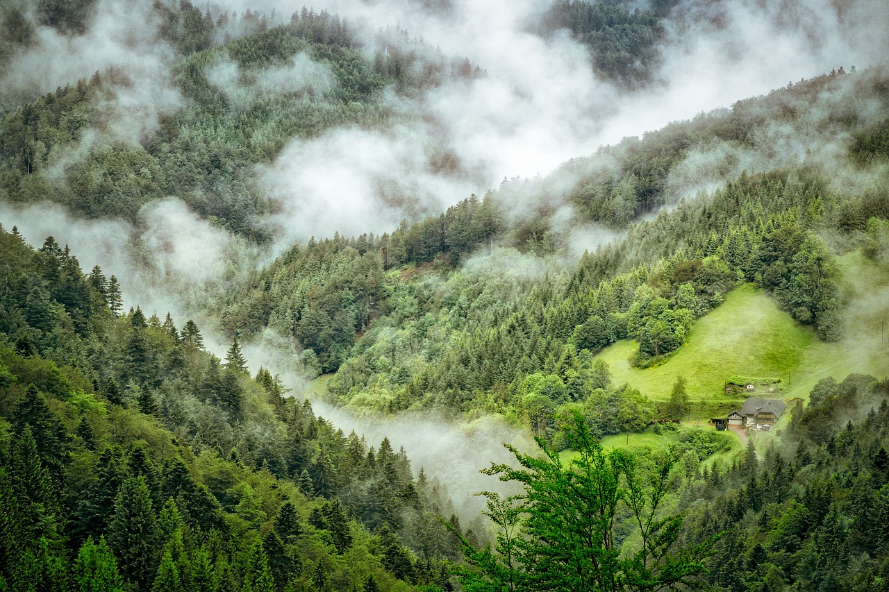 Schwarzwald